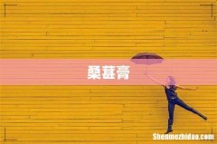 桑葚膏
