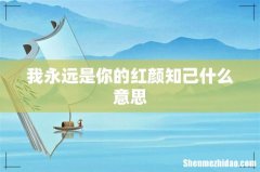 我永远是你的红颜知己什么意思