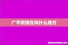 广平府现在叫什么地方
