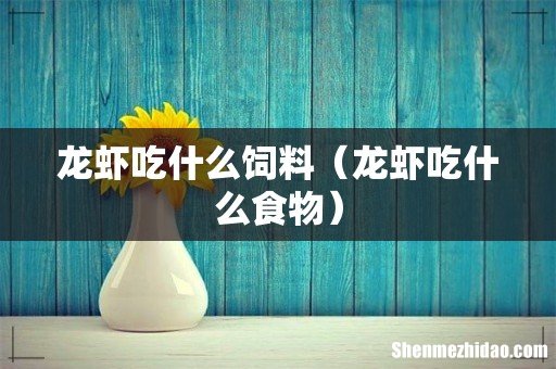 龙虾吃什么食物 龙虾吃什么饲料