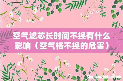 空气格不换的危害 空气滤芯长时间不换有什么影响