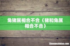 猪和兔属相合不合 兔猪属相合不合