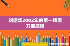 刘德华2002年的第一场雪刀郎原唱