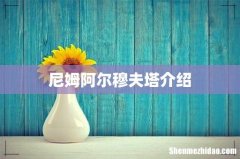 尼姆阿尔穆夫塔介绍