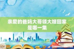 亲爱的爸妈大哥领大嫂回家是哪一集
