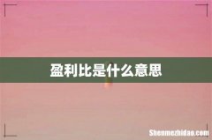 盈利比是什么意思