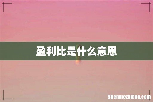盈利比是什么意思