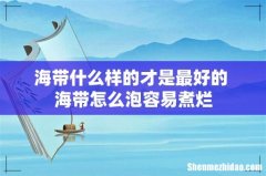 海带什么样的才是最好的 海带怎么泡容易煮烂