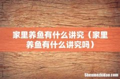 家里养鱼有什么讲究吗 家里养鱼有什么讲究