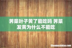 荠菜叶子黄了能吃吗 荠菜发黄为什么不能吃