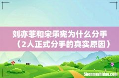 2人正式分手的真实原因 刘亦菲和宋承宪为什么分手