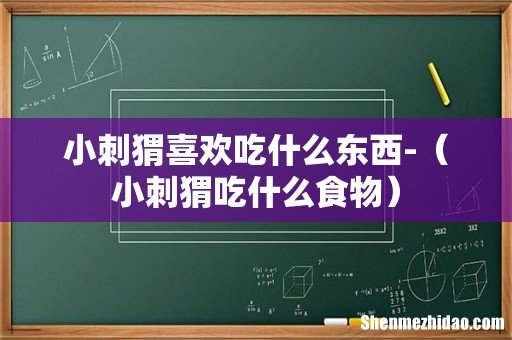 小刺猬吃什么食物 小刺猬喜欢吃什么东西-