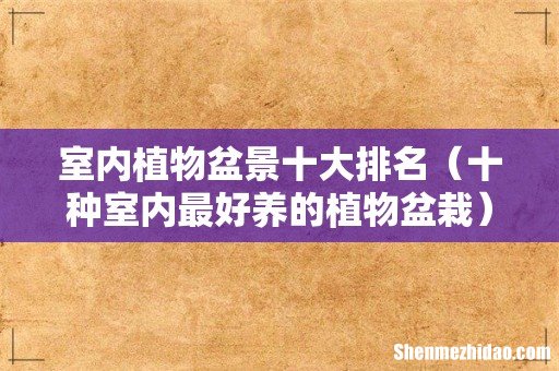 十种室内最好养的植物盆栽 室内植物盆景十大排名