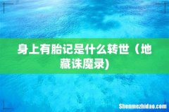 身上有胎记是什么转世（地藏诛魔录)