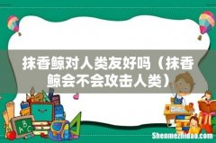 抹香鲸会不会攻击人类 抹香鲸对人类友好吗