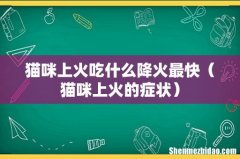 猫咪上火的症状 猫咪上火吃什么降火最快