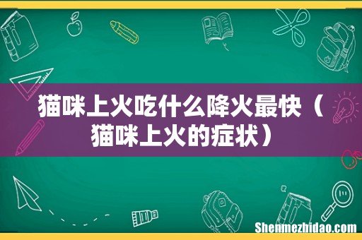 猫咪上火的症状 猫咪上火吃什么降火最快