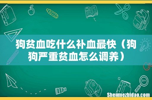 狗狗严重贫血怎么调养 狗贫血吃什么补血最快