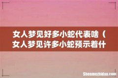 女人梦见好多小蛇代表啥（女人梦见许多小蛇预示着什么)