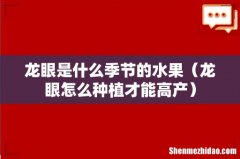 龙眼怎么种植才能高产 龙眼是什么季节的水果