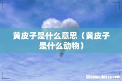 黄皮子是什么动物 黄皮子是什么意思