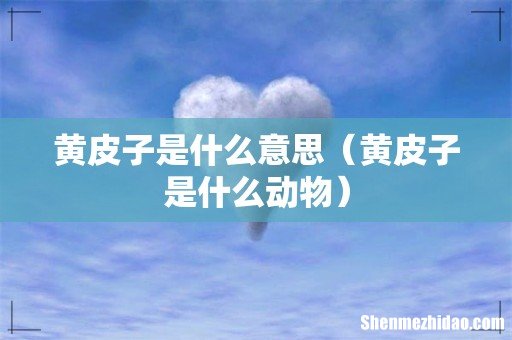 黄皮子是什么动物 黄皮子是什么意思
