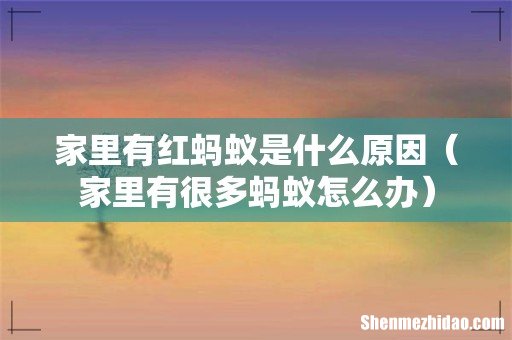 家里有很多蚂蚁怎么办 家里有红蚂蚁是什么原因