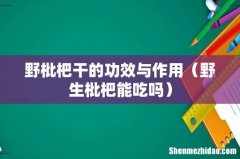 野生枇杷能吃吗 野枇杷干的功效与作用