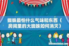 房间里的大蜘蛛如何消灭 蜘蛛最怕什么气味和东西