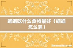 蝈蝈怎么养 蝈蝈吃什么食物最好