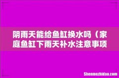 家庭鱼缸下雨天补水注意事项 阴雨天能给鱼缸换水吗