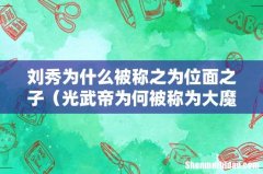 光武帝为何被称为大魔导师 刘秀为什么被称之为位面之子