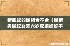 猪跟蛇的属相合不合（属猪男属蛇女差六岁配婚姻好不好)