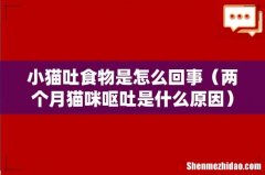 两个月猫咪呕吐是什么原因 小猫吐食物是怎么回事