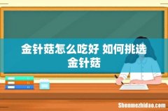 金针菇怎么吃好 如何挑选金针菇