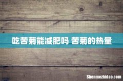 吃苦菊能减肥吗 苦菊的热量