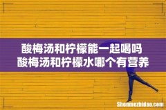 酸梅汤和柠檬能一起喝吗 酸梅汤和柠檬水哪个有营养