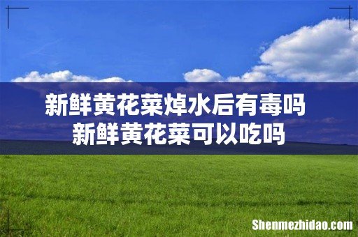 新鲜黄花菜焯水后有毒吗 新鲜黄花菜可以吃吗