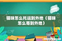 猫咪怎么寄到外地 猫咪怎么托运到外地