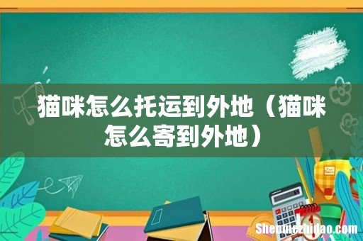 猫咪怎么寄到外地 猫咪怎么托运到外地