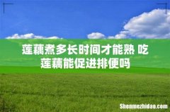 莲藕煮多长时间才能熟 吃莲藕能促进排便吗