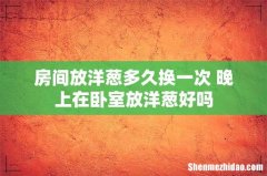 房间放洋葱多久换一次 晚上在卧室放洋葱好吗