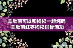 羊肚菌可以和枸杞一起炖吗 羊肚菌红枣枸杞排骨汤功效