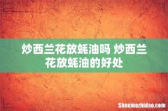 炒西兰花放蚝油吗 炒西兰花放蚝油的好处