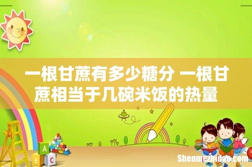 一根甘蔗有多少糖分 一根甘蔗相当于几碗米饭的热量