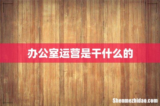 办公室运营是干什么的