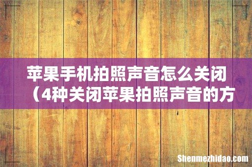 4种关闭苹果拍照声音的方法 苹果手机拍照声音怎么关闭