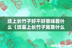 坟墓上长竹子寓意什么 坟上长竹子好不好意味着什么