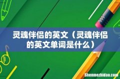 灵魂伴侣的英文单词是什么 灵魂伴侣的英文