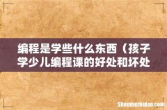 孩子学少儿编程课的好处和坏处 编程是学些什么东西